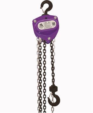 WORKWEAR, SAFETY & CORPORATE CLOTHING SPECIALISTS Chain Block Beaver 3S 1Ton x 6Mtr Violet