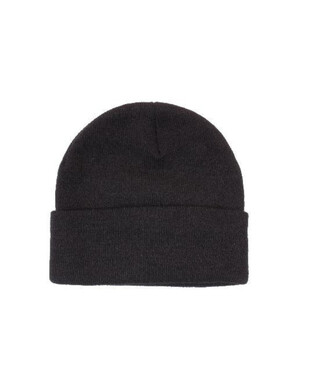 WORKWEAR, SAFETY & CORPORATE CLOTHING SPECIALISTS Acrylic Beanie w/Thinsulate Lining