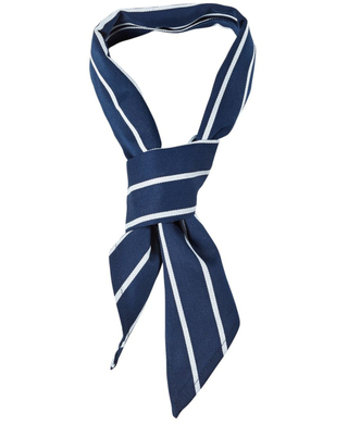 WORKWEAR, SAFETY & CORPORATE CLOTHING SPECIALISTS JB's Chefs Scarf