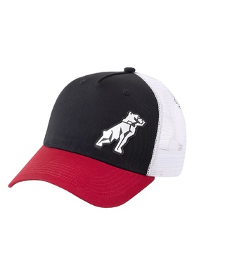 WORKWEAR, SAFETY & CORPORATE CLOTHING SPECIALISTS MACK TRI COLOUR CURVED TRUCKER CAP