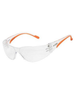 WORKWEAR, SAFETY & CORPORATE CLOTHING SPECIALISTS Mini Boxa AF/AS Clear Lens